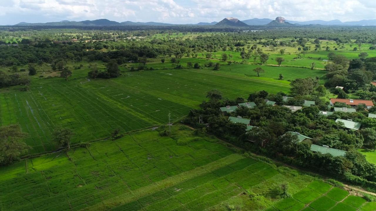 Camellia Resort And Spa Sigiriya Exteriör bild