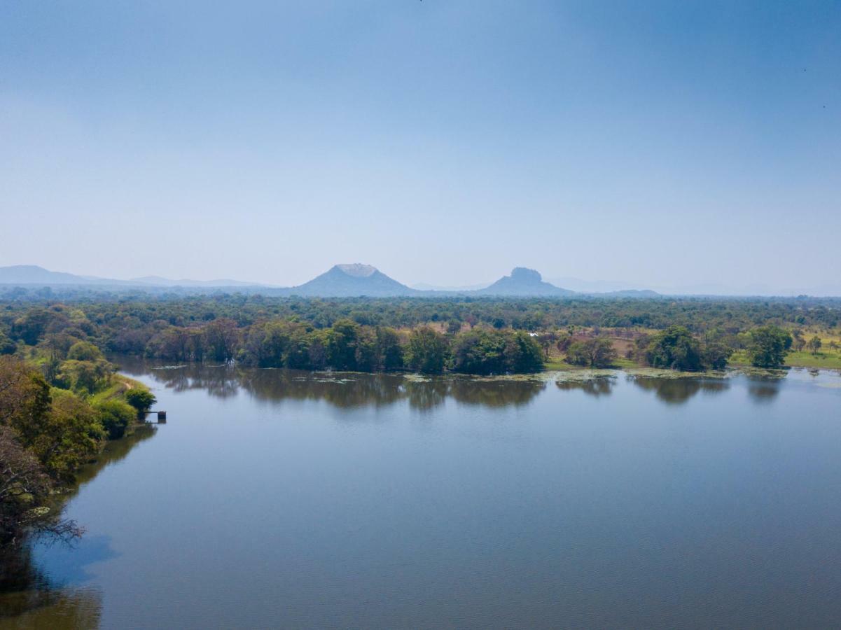 Camellia Resort And Spa Sigiriya Exteriör bild