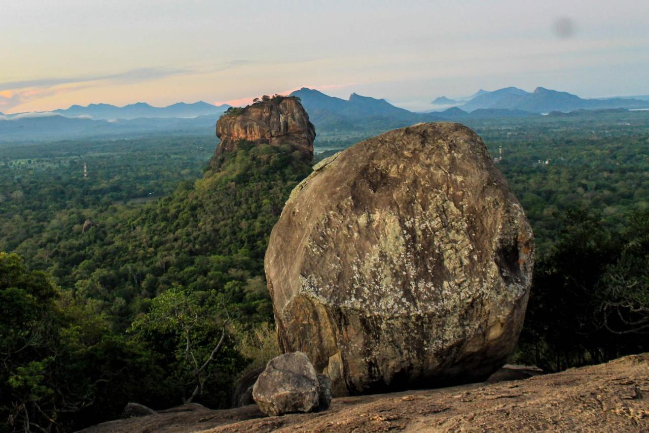 Camellia Resort And Spa Sigiriya Exteriör bild